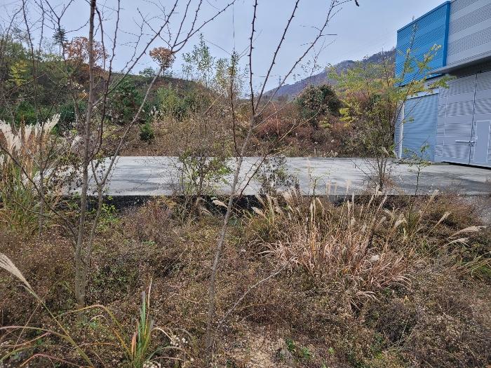 충청남도 서산시 운산면 고산리 427 전 경매 사진 12