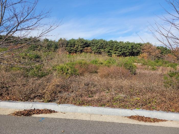 충청남도 서산시 운산면 고산리 427 전 경매 사진 2