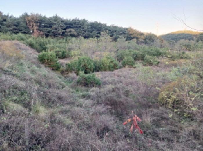 충청남도 서산시 운산면 고산리 427 전 경매 사진 21