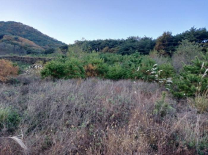 충청남도 서산시 운산면 고산리 427 전 경매 사진 22