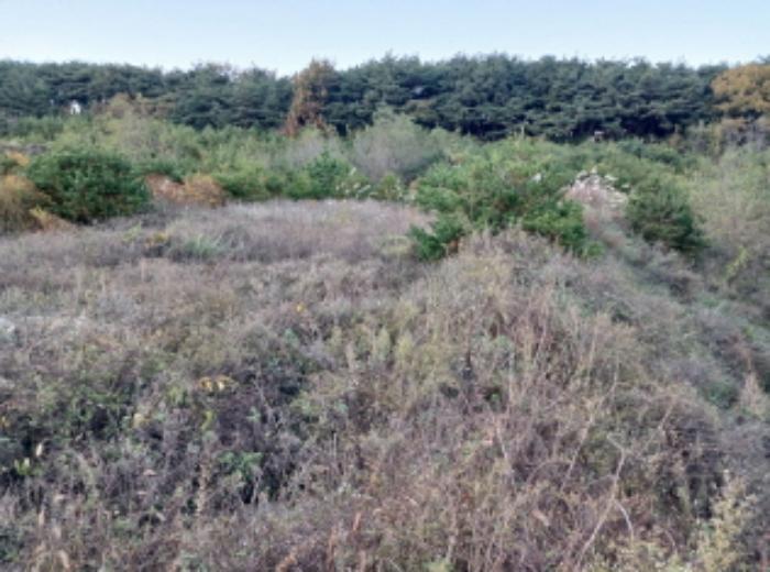 충청남도 서산시 운산면 고산리 427 전 경매 사진 24