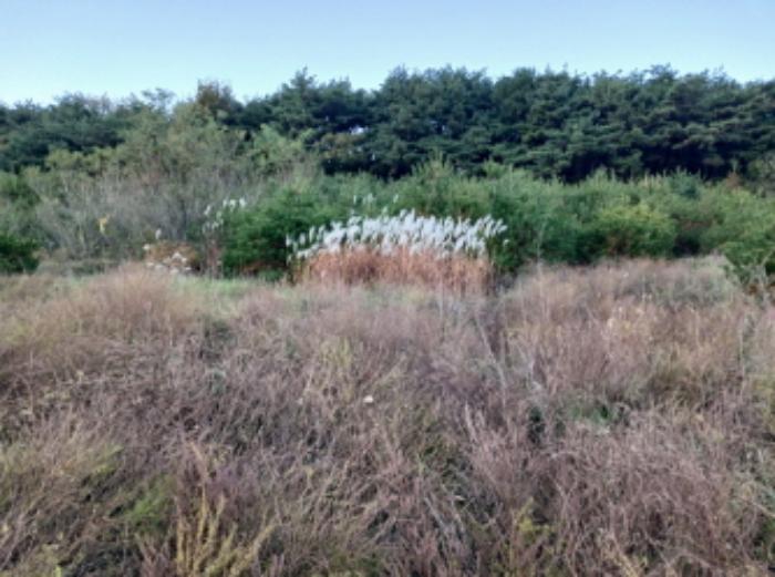 충청남도 서산시 운산면 고산리 427 전 경매 사진 37