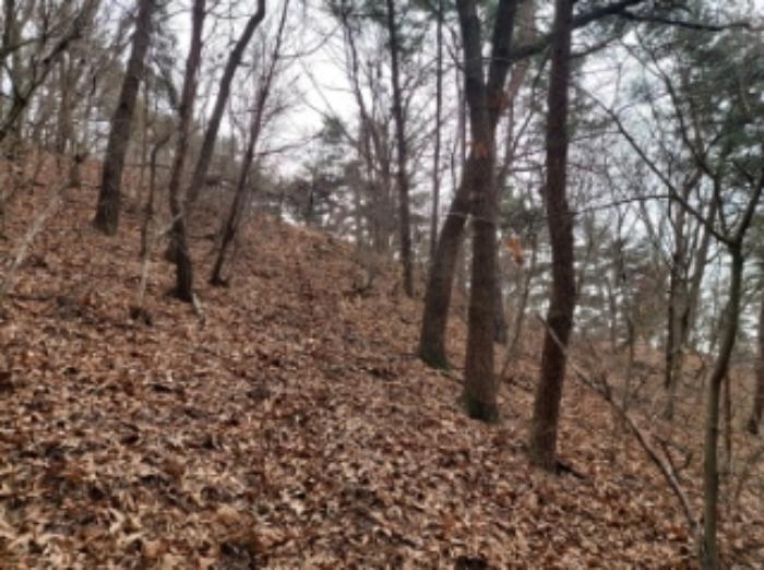 충청남도 당진시 구룡동 산191-3 임야 경매 사진 13