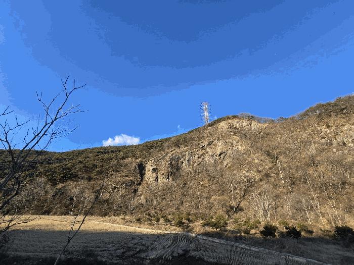 충청남도 당진시 구룡동 산191-3 임야 경매 사진 2