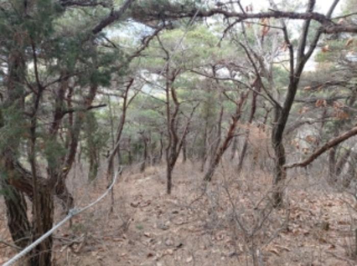 충청남도 당진시 구룡동 산191-3 임야 경매 사진 23