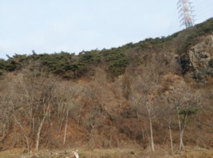 충청남도 당진시 구룡동 산191-3 임야 경매 사진 3