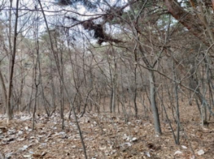 충청남도 당진시 구룡동 산191-3 임야 경매 사진 32