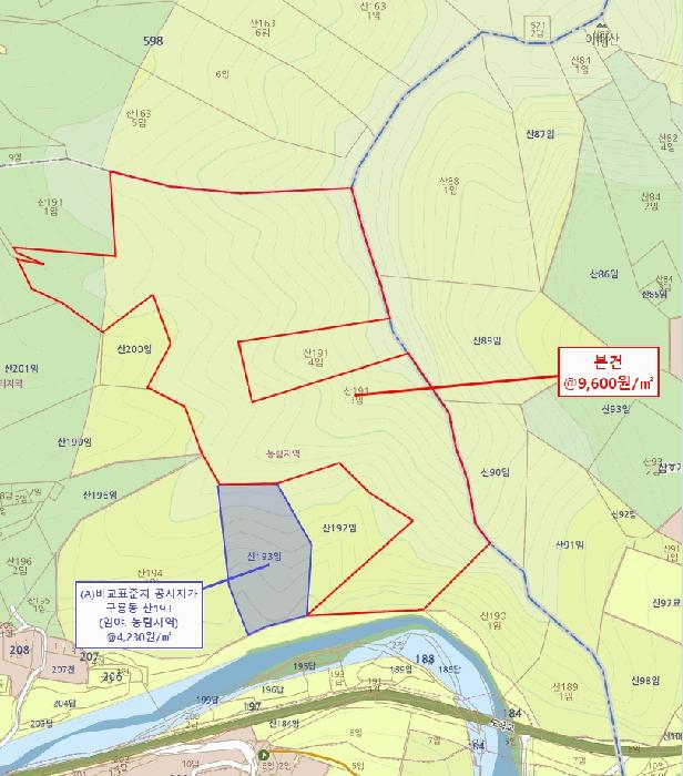 충청남도 당진시 구룡동 산191-3 임야 경매 사진 36