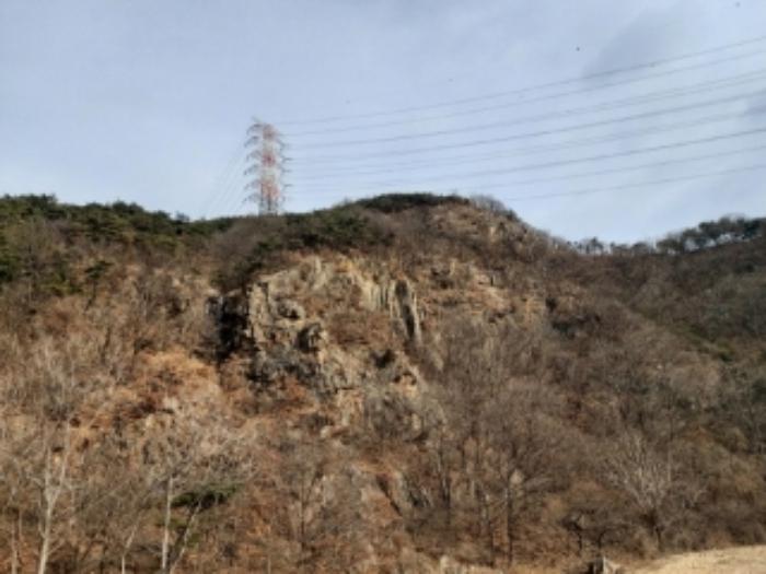 충청남도 당진시 구룡동 산191-3 임야 경매 사진 4