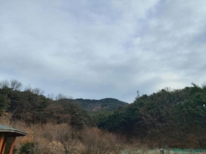 충청남도 당진시 구룡동 산191-3 임야 경매 사진 5
