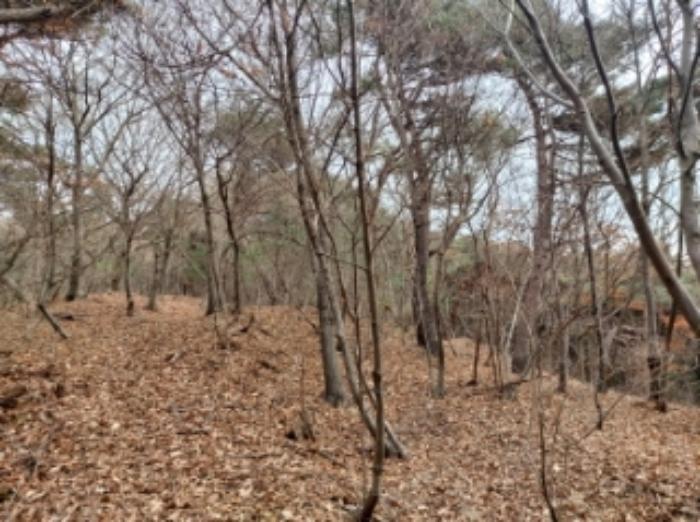 충청남도 당진시 구룡동 산191-3 임야 경매 사진 6