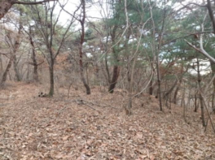 충청남도 당진시 구룡동 산191-3 임야 경매 사진 7