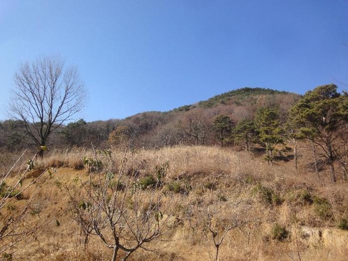 울산광역시 울주군 삼남읍 방기리 752-2 전 경매 사진 4