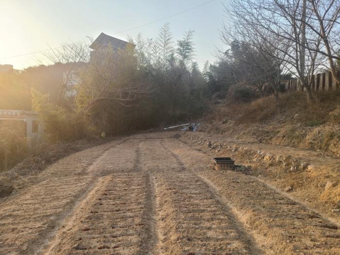 울산광역시 중구 약사동 154 답 경매 사진 3