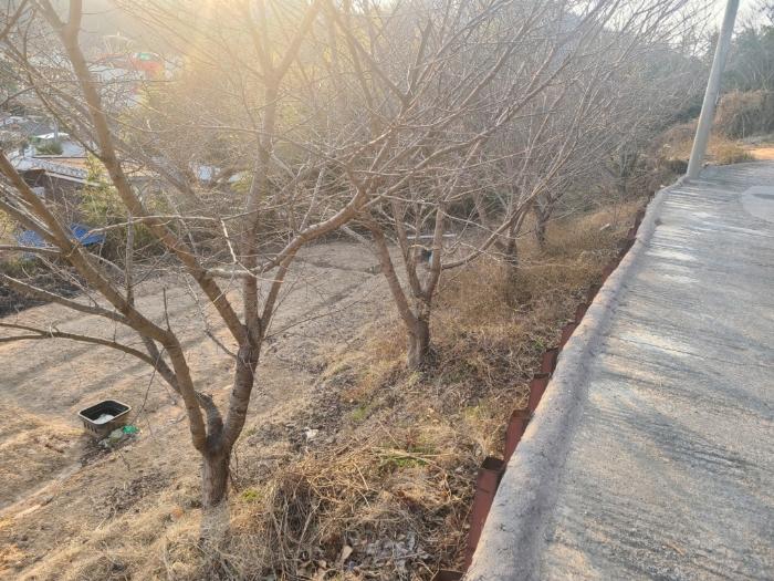 울산광역시 중구 약사동 154 답 경매 사진 6