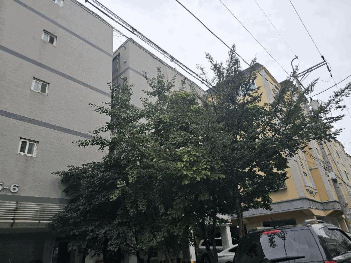 인천광역시 계양구 작전동 705-7 창선주택 3동 2층204호 다세대(빌라) 경매 사진 3