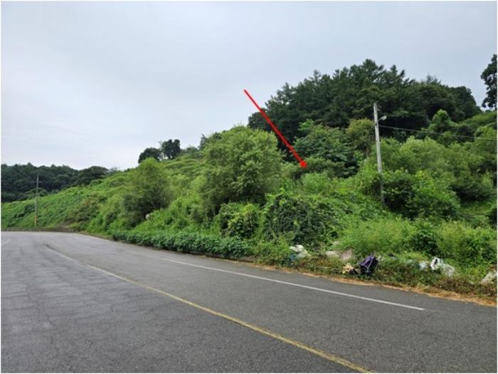 경기도 연천군 군남면 삼거리 354 전 경매 사진 1