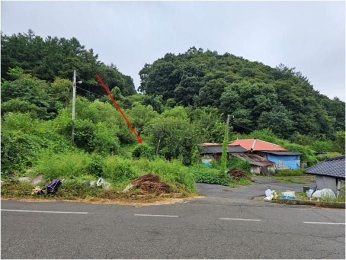 경기도 연천군 군남면 삼거리 354 전 경매 사진 2