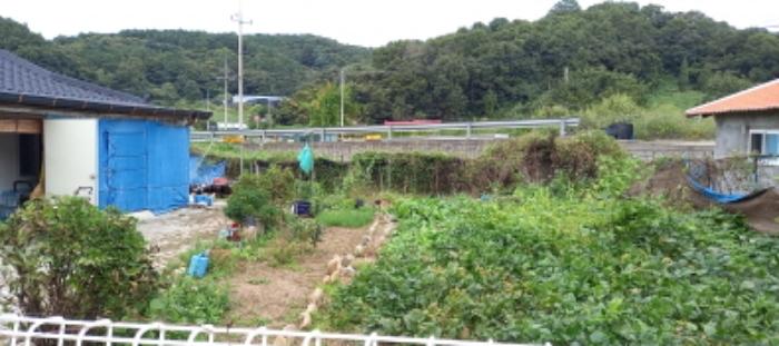 경기도 연천군 군남면 삼거리 354 전 경매 사진 37