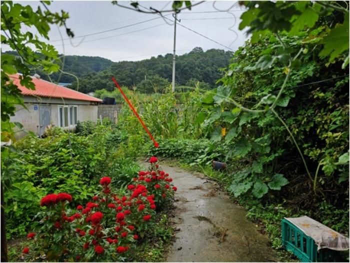 경기도 연천군 군남면 삼거리 354 전 경매 사진 6