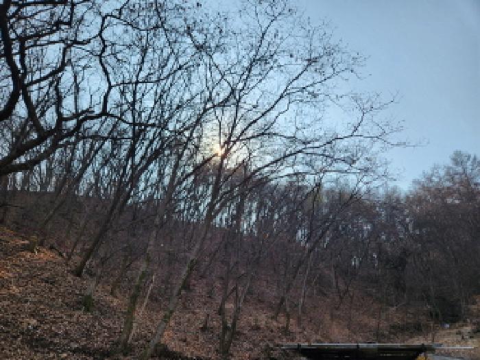 경기도 양주시 남면 황방리 산6 임야 경매 사진 12