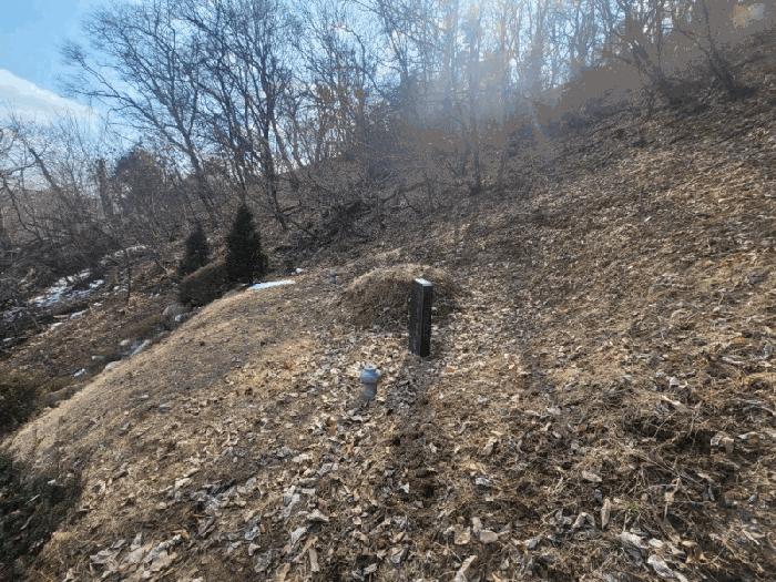 경기도 양주시 남면 황방리 산6 임야 경매 사진 3