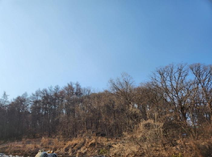 경기도 양주시 남면 황방리 산6 임야 경매 사진 5