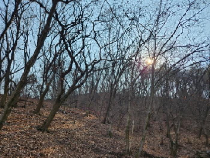 경기도 양주시 남면 황방리 산6 임야 경매 사진 6
