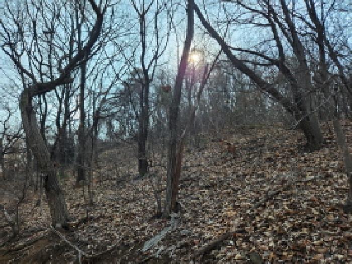 경기도 양주시 남면 황방리 산6 임야 경매 사진 7