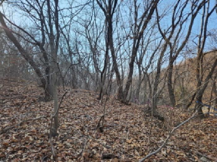 경기도 양주시 남면 황방리 산6 임야 경매 사진 8