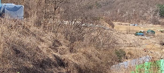경기도 연천군 군남면 왕림리 459-6 공장 경매 사진 29