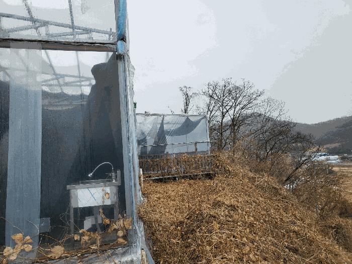 경기도 연천군 군남면 왕림리 459-6 공장 경매 사진 4