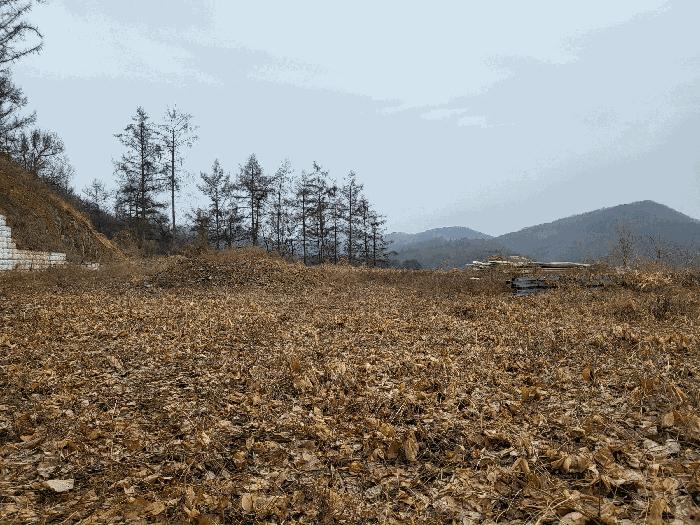 경기도 연천군 군남면 왕림리 459-6 공장 경매 사진 8