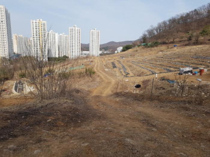 경기도 시흥시 조남동 430-26 전 경매 사진 9