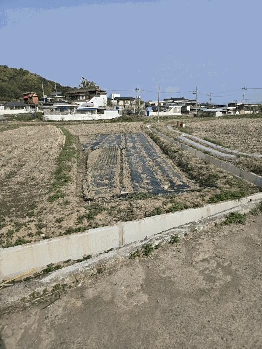 경상남도 함안군 대산면 평림리 717 전 경매 사진 14