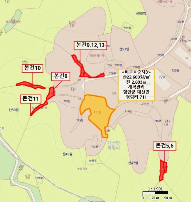 경상남도 함안군 대산면 평림리 717 전 경매 사진 32