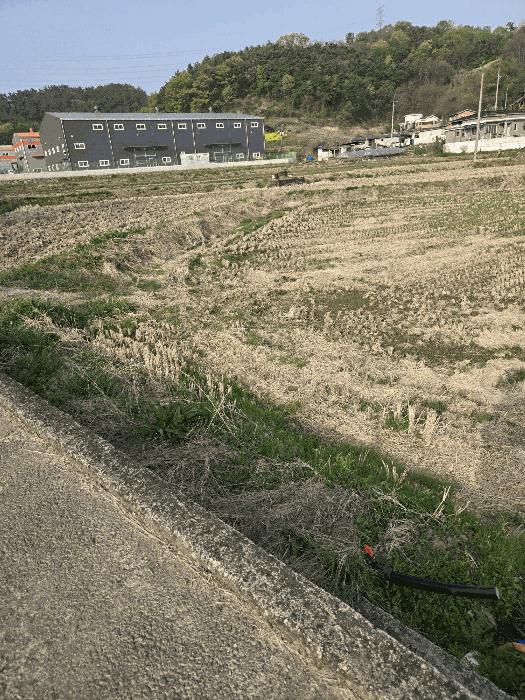 경상남도 함안군 대산면 평림리 771 전 경매 사진 13