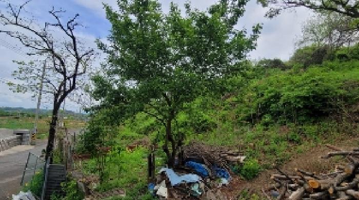 경상남도 함안군 대산면 평림리 771 전 경매 사진 27