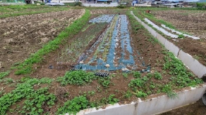 경상남도 함안군 대산면 평림리 772 전 경매 사진 26