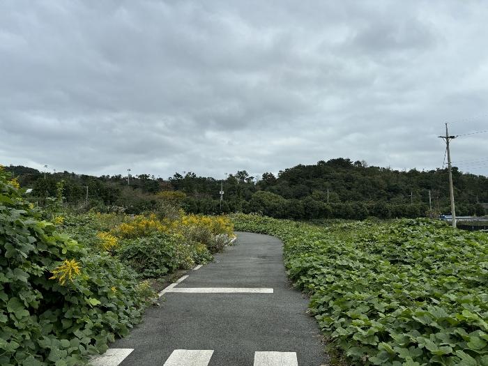 울산 울주군 답