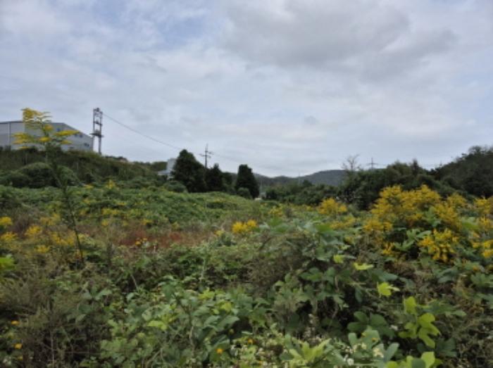 울산광역시 울주군 서생면 위양리 326 답 경매 사진 14