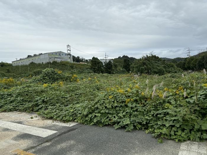 울산광역시 울주군 서생면 위양리 326 답 경매 사진 2