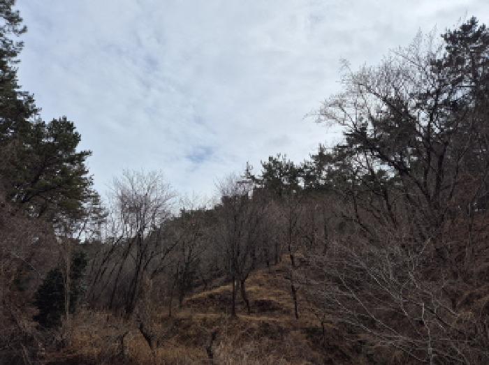 울산광역시 울주군 서생면 나사리 31 답 경매 사진 8