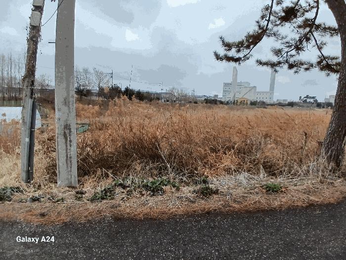 전라남도 나주시 산포면 신도리 756-95 잡종지 경매 사진 9