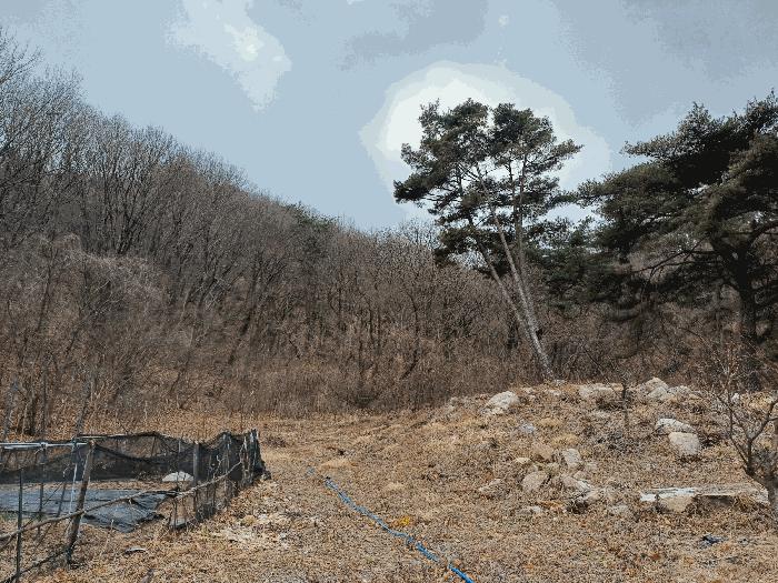 경상남도 김해시 상동면 우계리 산337-9 임야 경매 사진 2