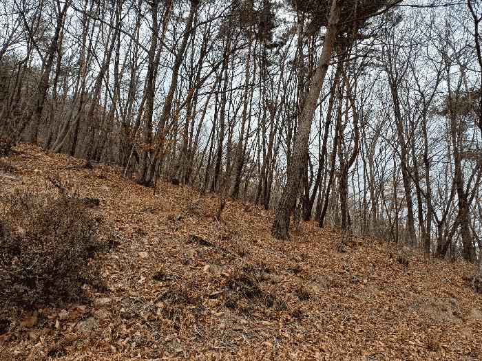 경상남도 김해시 상동면 우계리 산337-9 임야 경매 사진 3