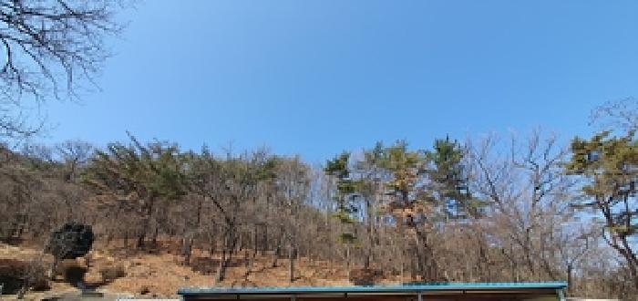 경상남도 김해시 상동면 우계리 산337-9 임야 경매 사진 5