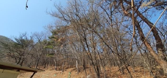 경상남도 김해시 상동면 우계리 산337-9 임야 경매 사진 6
