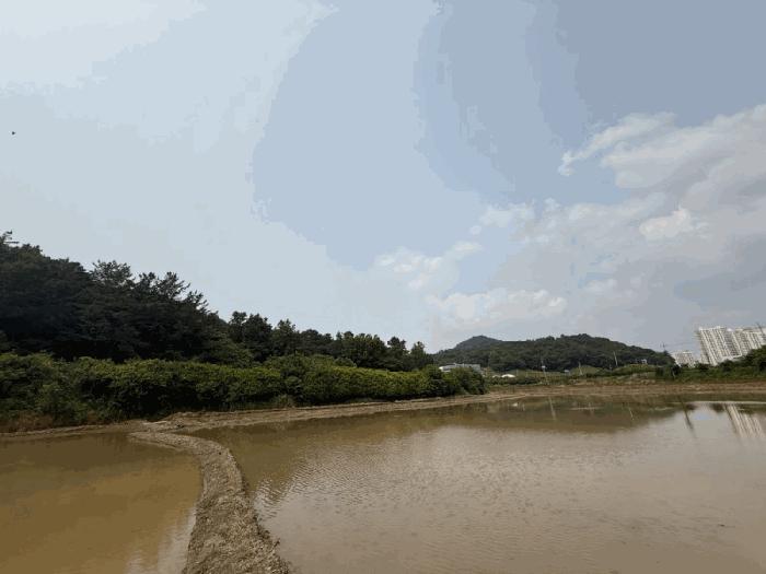 광주광역시 남구 임암동 456 답 경매 사진 3