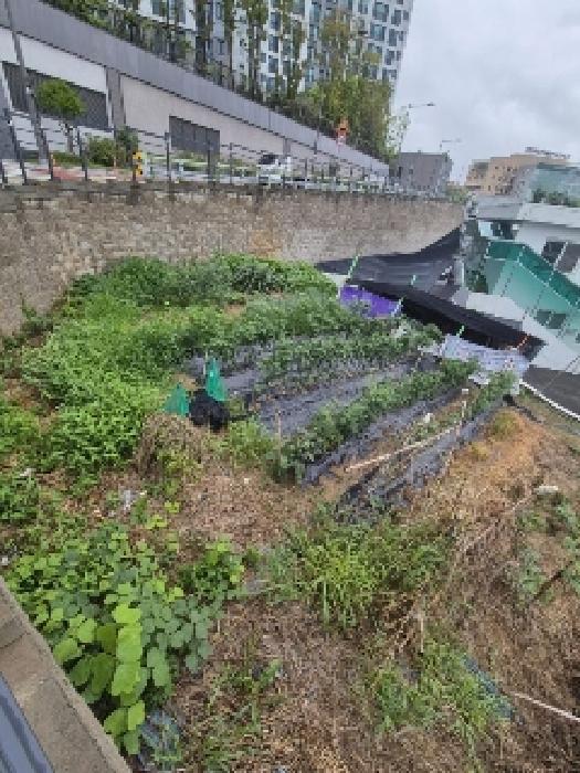 광주광역시 광산구 신가동 358-4 임야 경매 사진 7